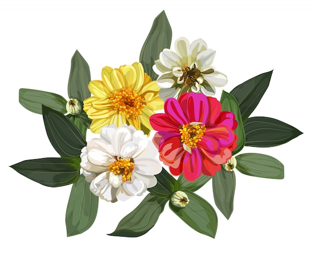 Vector zinnia flower bouquet