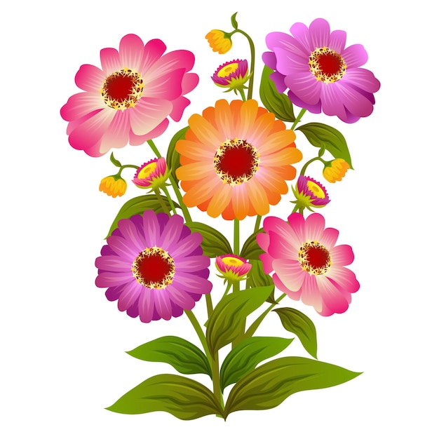 Vettore illustrazione del fiore di zinnia