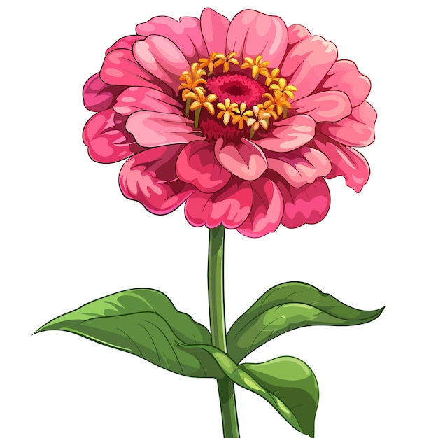 Vector zinnia flowers