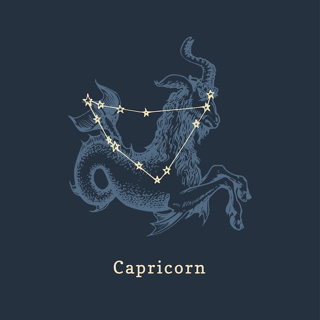 Vector zodiac constellation of capricorn and its symbol in engraving style vector illustration of astrological sign sea goat