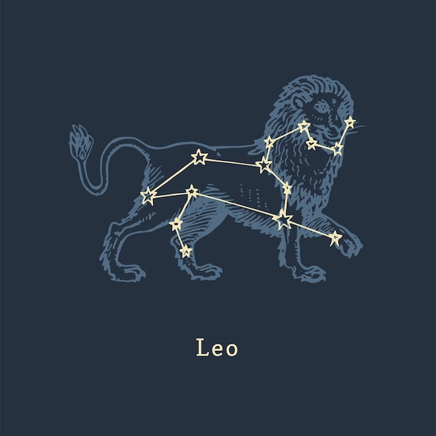 Vector zodiac constellation of leo in engraving style vector retro graphic illustration of astrological sign lion