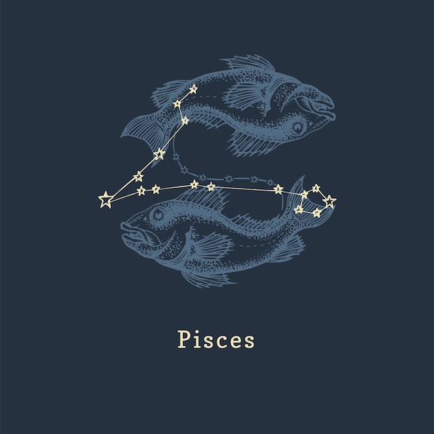 Vector zodiac constellation of pisces in engraving style vector retro graphic illustration of astrological sign fishes