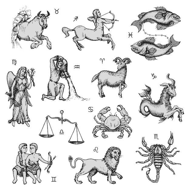 Zodiac signs set vector drawing horoscope design