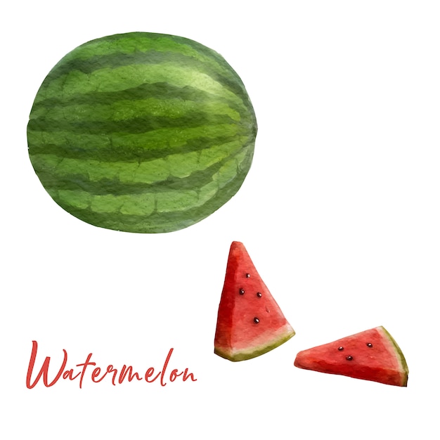 Vector zoete watermeloen
