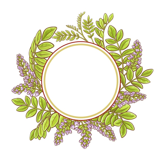zoethout planten vector frame op witte achtergrond