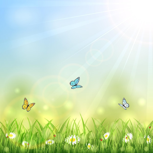 Zomer achtergrond met vlinders, zon en bloemen in het gras, afbeelding.