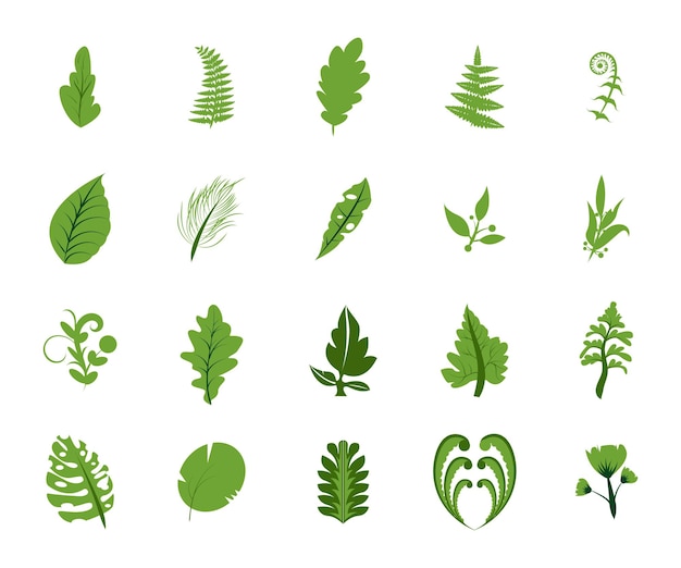 zomer groene bladeren collectie element set vlakke stijl