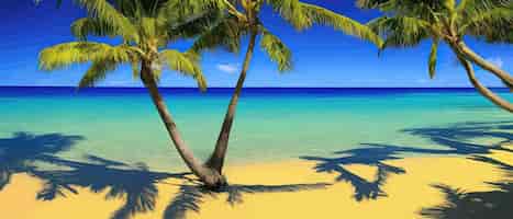 Vector zomer op het strand, palmen en planten rond vectorillustratie zomervakantie aan de zeekust
