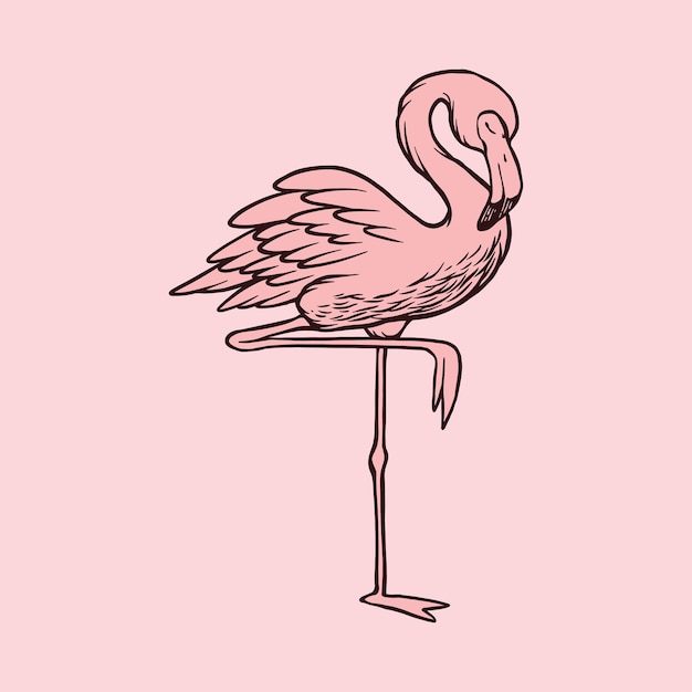 zomer strand Flamingo vogel vector