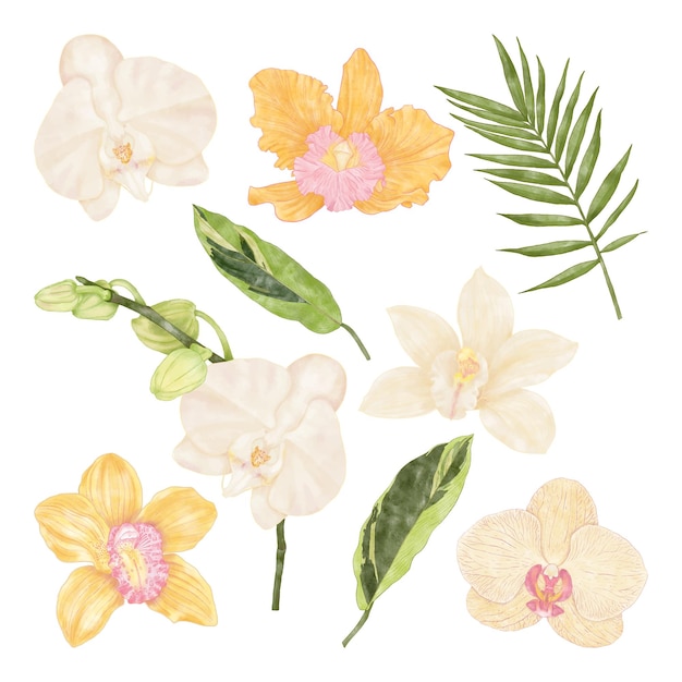 Vector zomer tropische exotische gele en witte orchidee bloemen