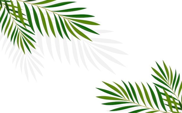 Zomer tropische palm minimalistische achtergrond plat