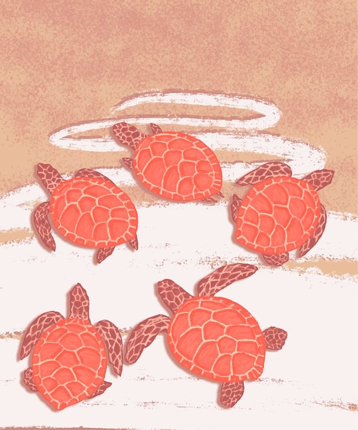 Zomerse sferen Zeezand met schildpadden