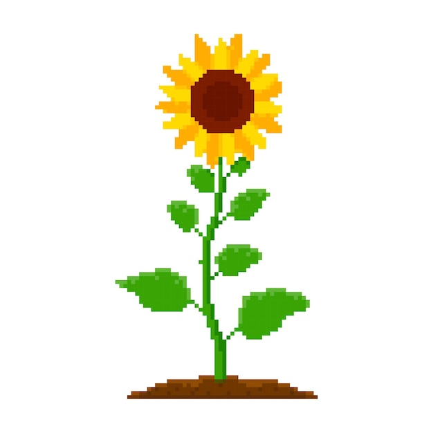 Zonnebloem gele bloem op een groene stengel met bladeren pixel kunst pictogram geïsoleerde vectorillustratie Ga