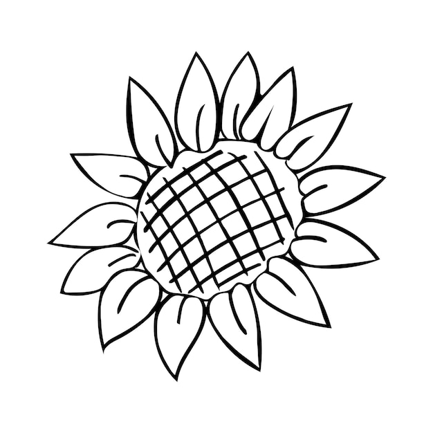 Zonnebloem hand getrokken doodle vector