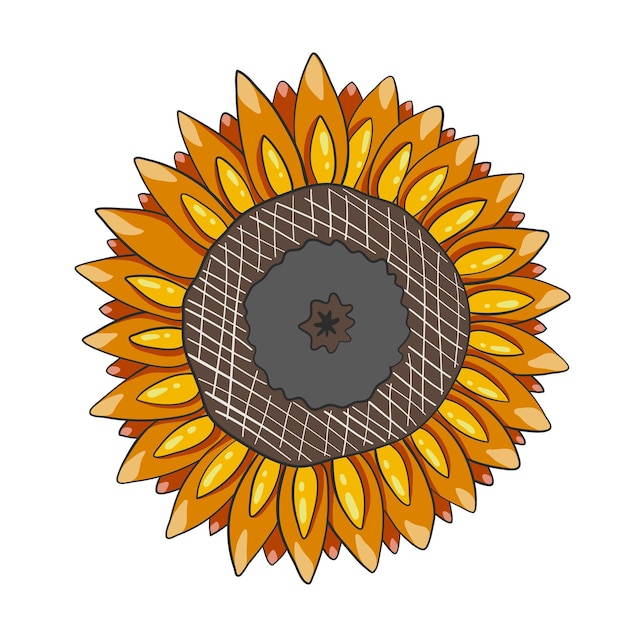 Zonnebloem is een zonnige bloem Geïsoleerd op een witte achtergrond Vectorillustratie