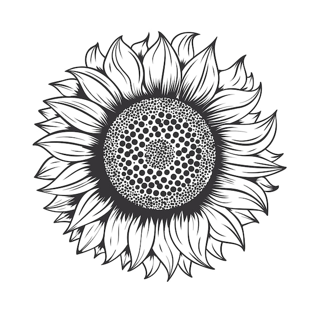 Zonnebloem lijn kunst design op witte background.vector afbeelding.