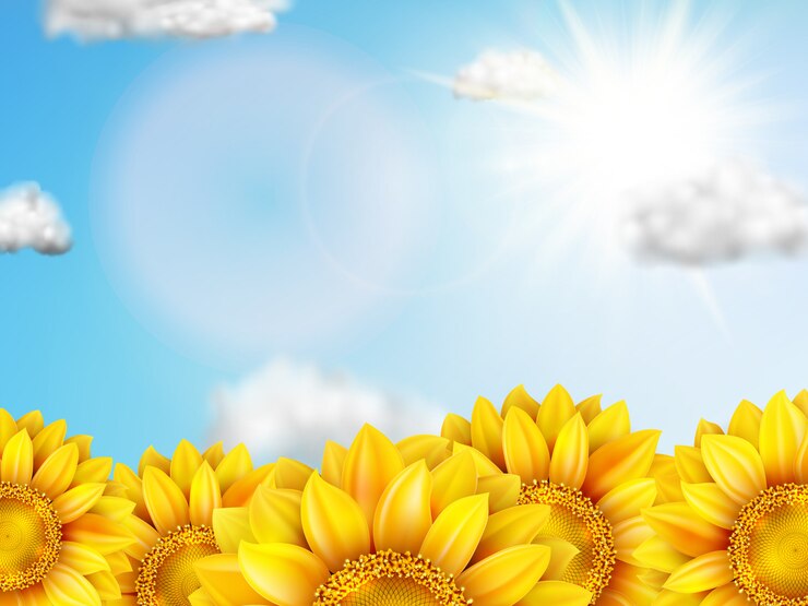 Vector zonnebloem met blauwe hemel.