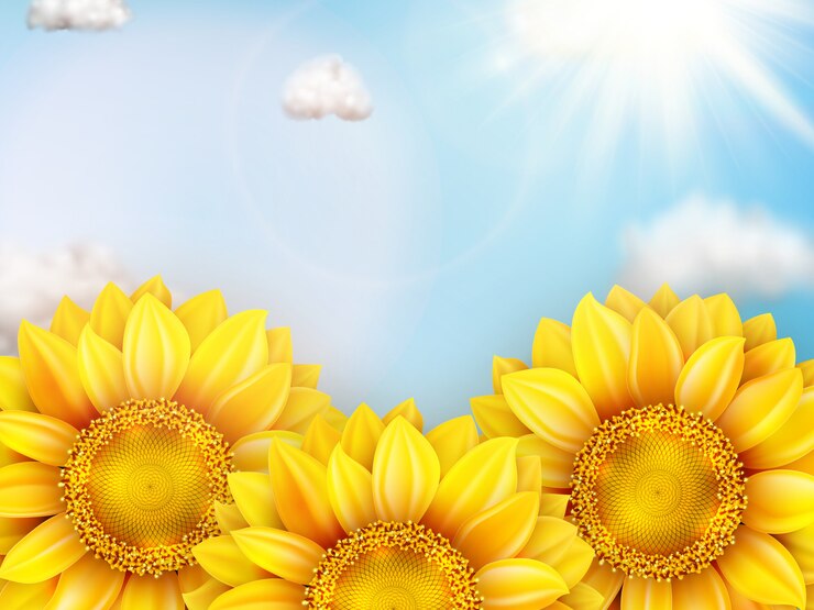 Vector zonnebloem met blauwe hemel.