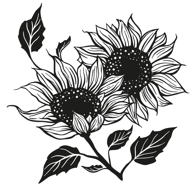 Zonnebloem tekening vector decoratie met bladeren Lijn contour ontwerp bloem silhouet