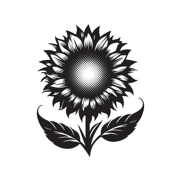 Zonnebloem vector illustratie silhouet ontwerp