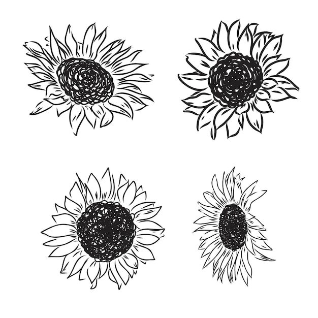 Zonnebloemen Hand getrokken schetsen van zonnebloemen zonnebloem vector schets