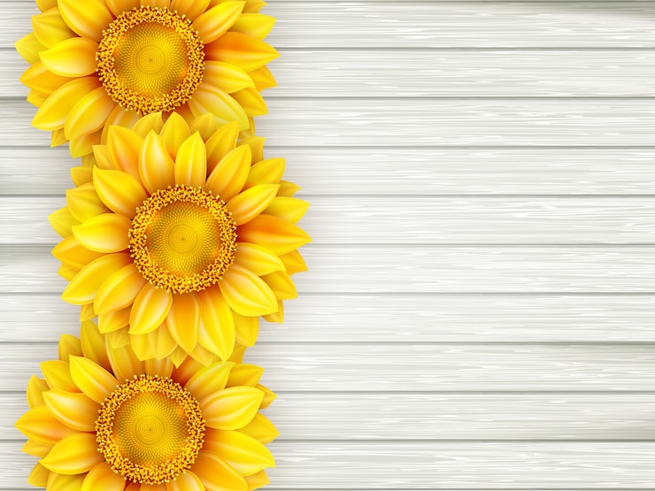 Vector zonnebloemen op houten achtergrond.