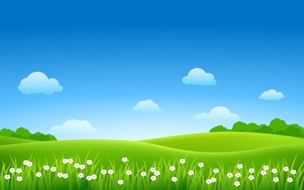 Zonnige dag op prachtig groen veld met struik en bloemen