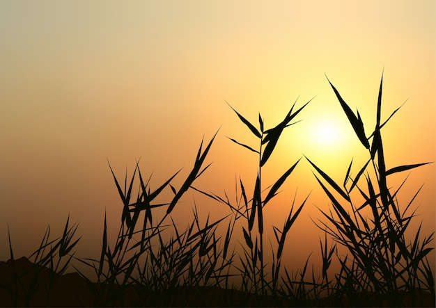 Vector zonsondergang en grassilhouetten