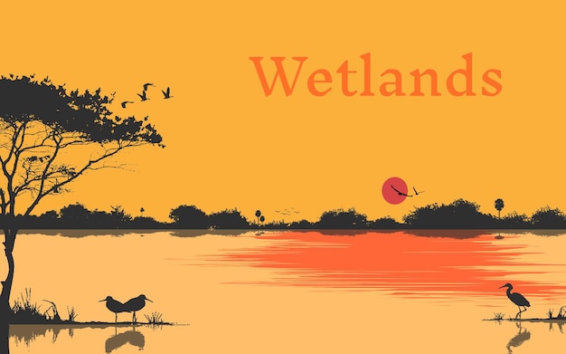 Vector zonsondergang landschap wetlands prachtig landschap vector achtergrond silhouet achtergrond illustratie