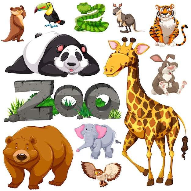 Вектор Зоопарк и различные виды диких животных