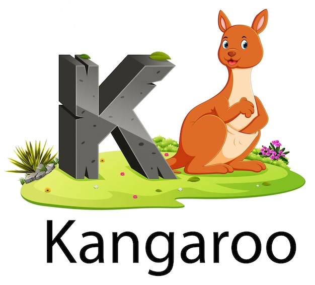 Zoo animal alphabet k for kangaroo with the cute animal