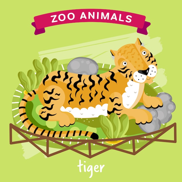 Zoo animal, tiger