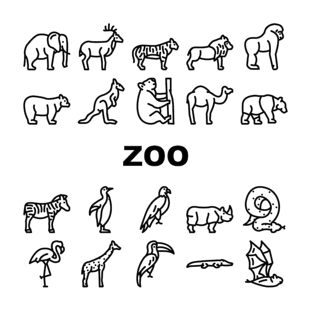 Vector zoo animals birds and snake icons set vector tiger and elephant bear and panda zebra and kangaroo toucan and eagle crocodile and giraffe zoo animals black contour illustrations