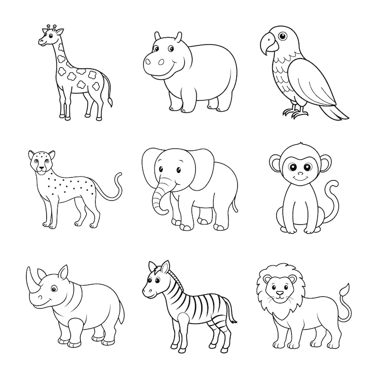 Vector zoo safari fun line art bundle vector lion elephant giraffe zebra rhino hippo monkey cheetah parrot