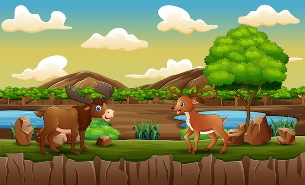 Vector zoo scene with a moose and deer playing in open cage