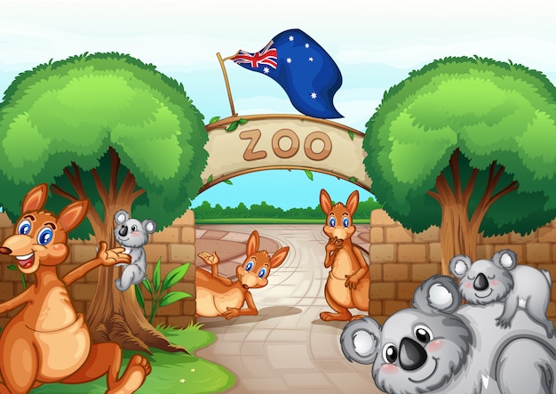 Zoo scene