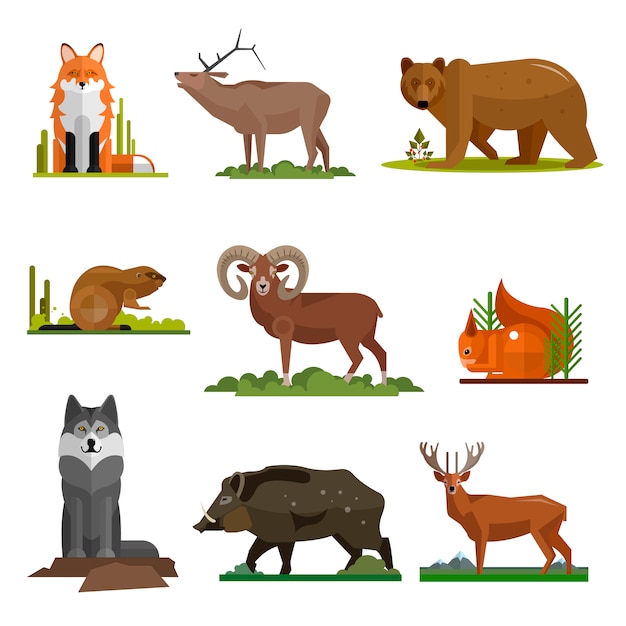 Vector zoogdier dieren vector in vlakke stijl ontwerp. vos, beer, wolf, schat.