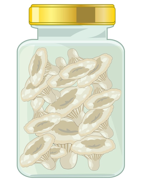 Zoute champignons in glazen pot met deksel