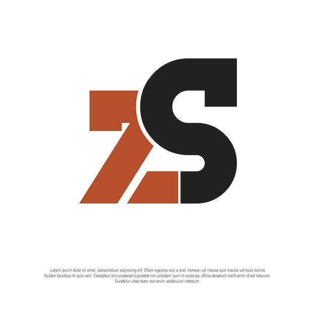 ZS logo company