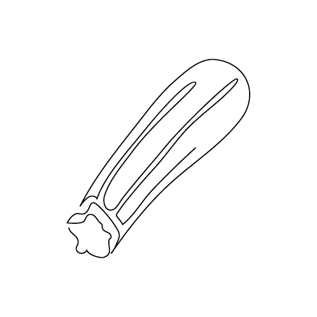 Zucchini continuous line drawing. One line art of squash, vegetable marrow. Hand drawn vector illustration.