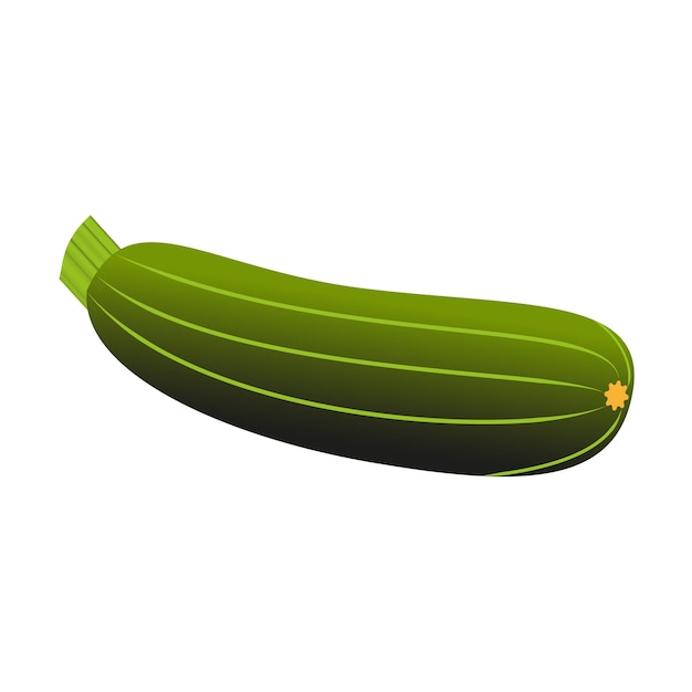 Zucchini vector isolated flat design on white background