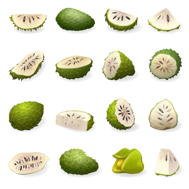 Zuurzak pictogrammen instellen cartoon vector. Annona Muricata