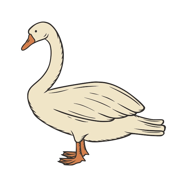 Zwaan gans hand getrokken vectorillustratie