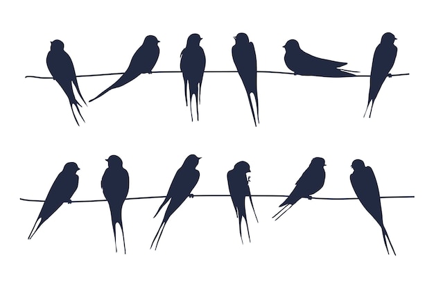 Zwaluw vogel vector illustraties set