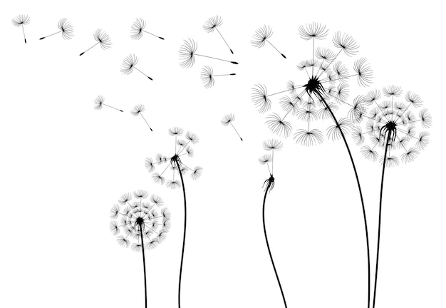 Zwart silhouet met vliegende paardenbloemknoppen