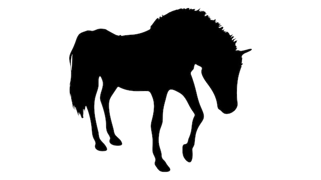 Zwart silhouet van paard Mooi paard vector ontwerp steigeren paard Paarden silhouet vector