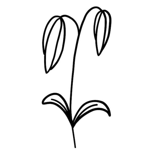 Zwart-wit bloem om in te kleuren Plant in schets doodle stijl Hand getrokken vectorillustratie