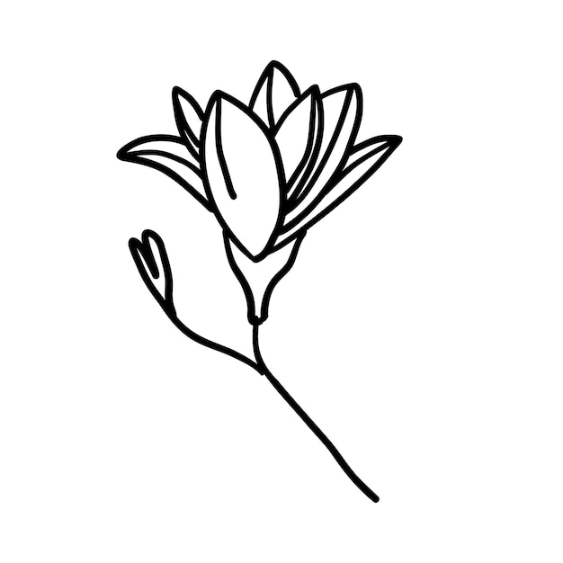 Zwart-wit bloem om in te kleuren Plant in schets doodle stijl Hand getrokken vectorillustratie