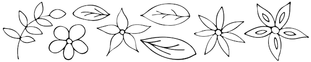 Zwart-wit Handgetekende Set Doodle Bloemen Floral Outline Collectie met Bladbloem en Takje met Bladeren