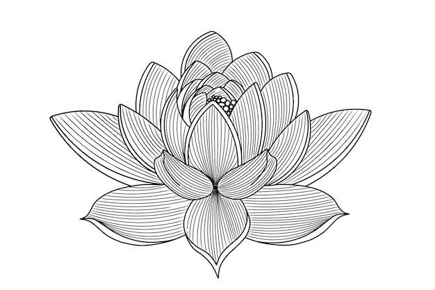 zwart-wit lineaire afbeelding van magnolia